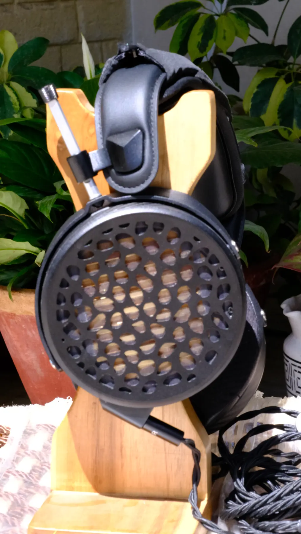 DUHM Golden Frog, supplied view 8
